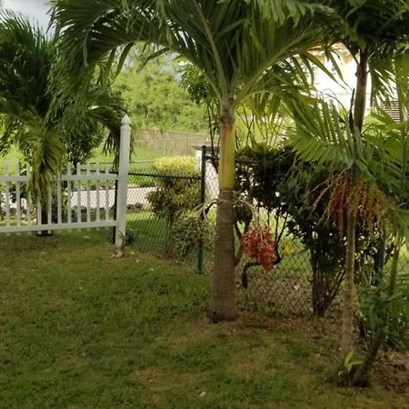Cynson Villa Holiday Accommodations Christ Church Exterior photo
