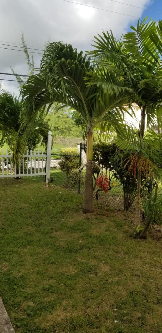 Cynson Villa Holiday Accommodations Christ Church Exterior photo